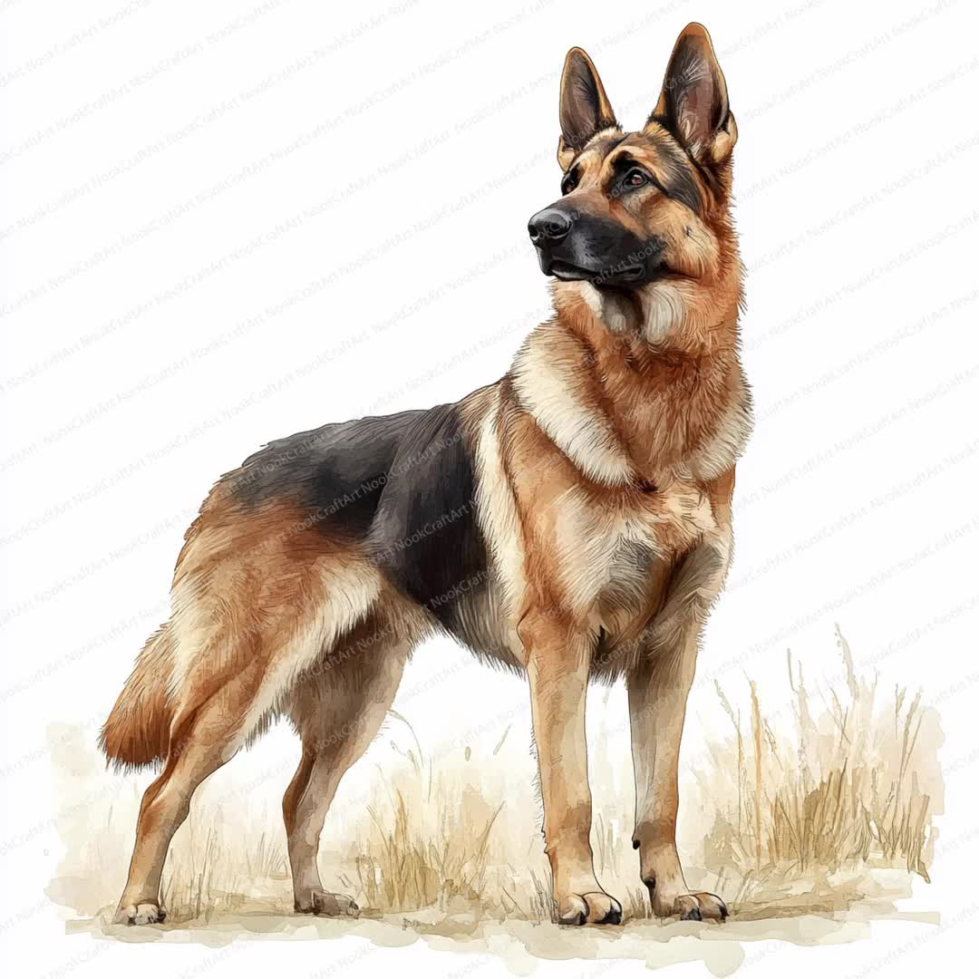 ジャーマンシェパードのクリップアート24点パック｜芸術的な犬の